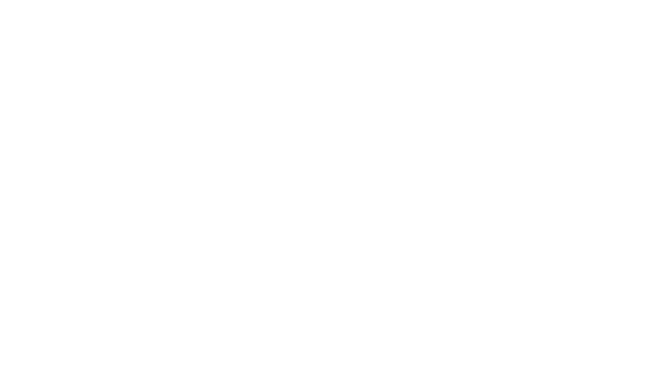 Victoria Dzygman — логотип